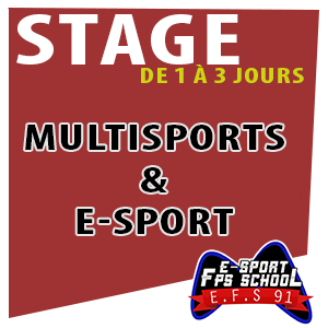 Stage eSport - Multisports