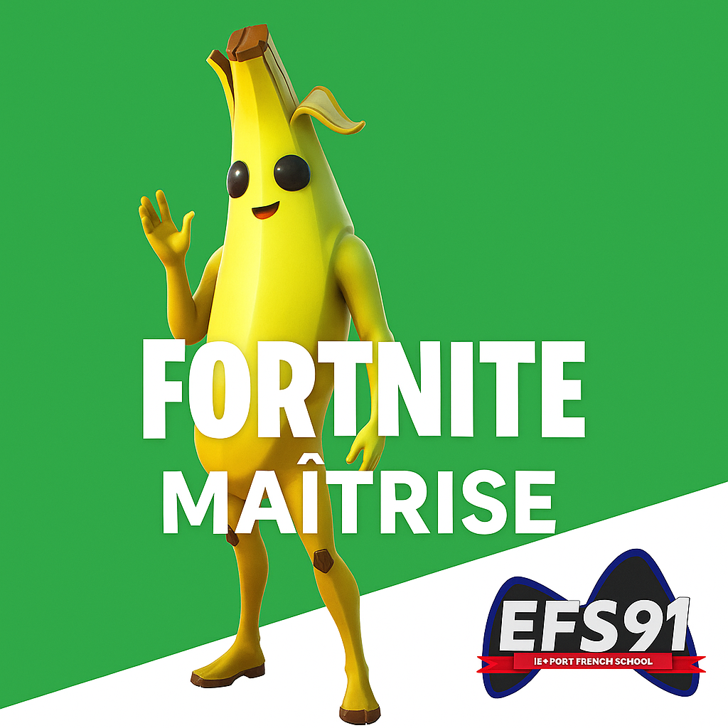 Abonnement FORTNITE Maitrise et Stratégie