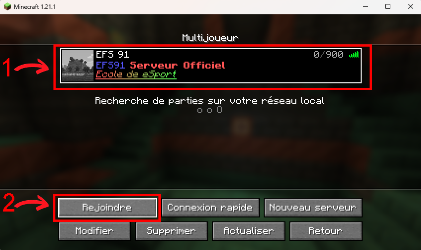 Liste Multijoueur avec le serveur EFS 91 sélectionné puis bouton Rejoindre.