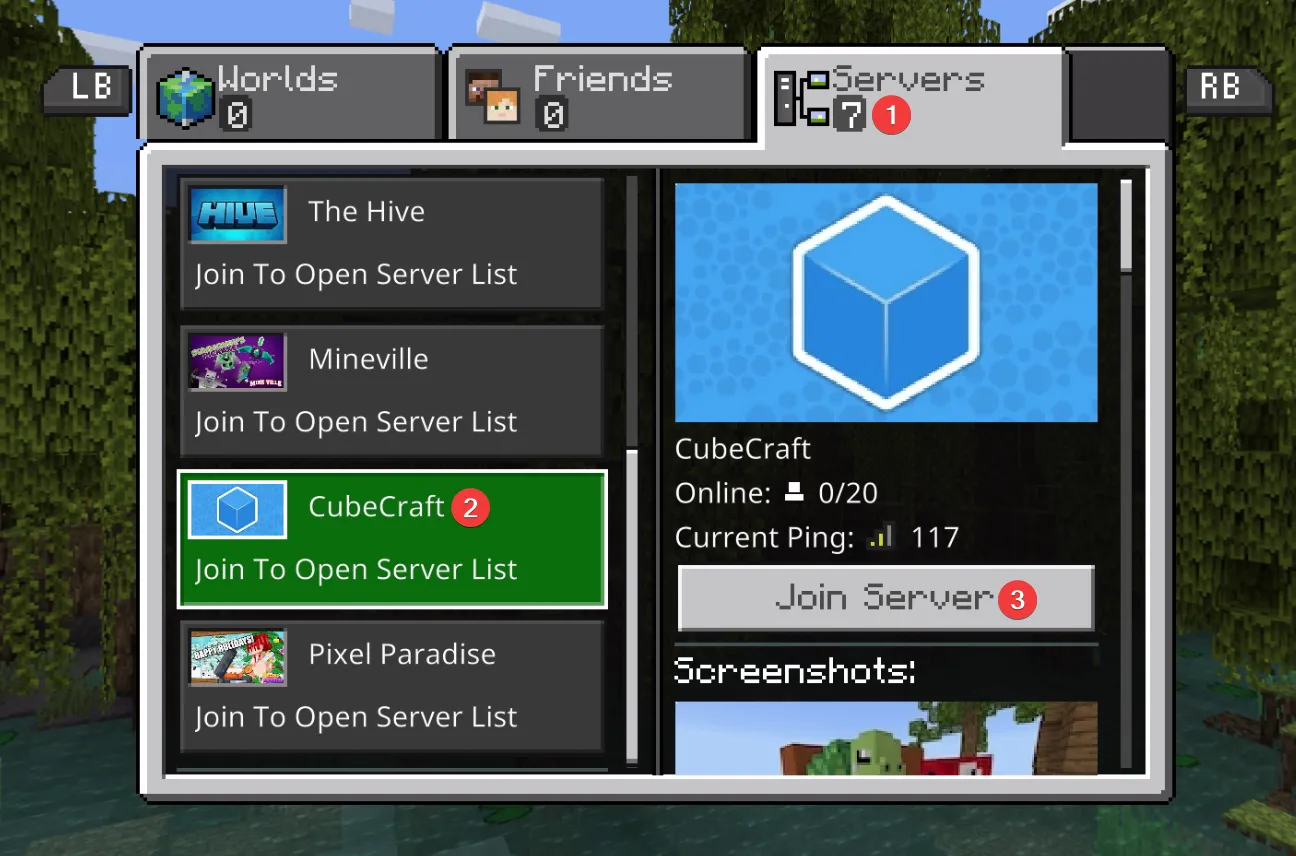 Onglet Serveurs de Minecraft après configuration du DNS BedrockConnect