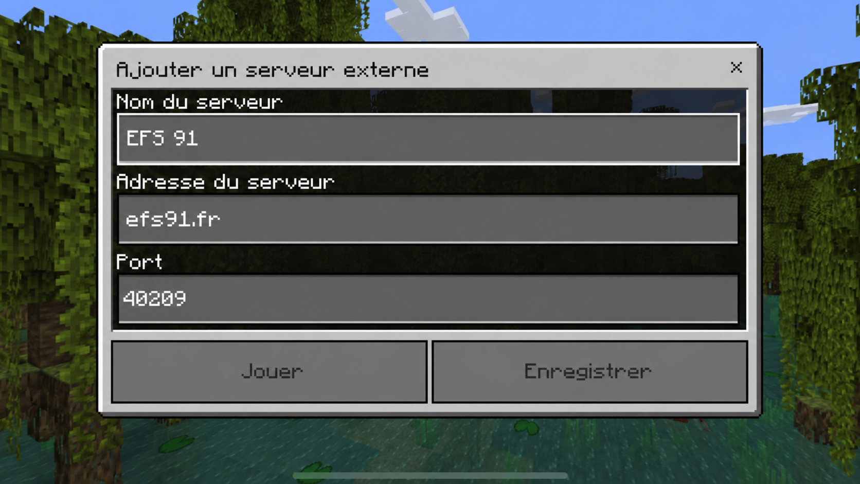 Ajouter le serveur EFS 91 dans Minecraft Bedrock avec l'adresse efs91.fr et le port 40209