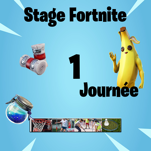 Stage Fortnite Multi-Sports Forfait 1 Jour